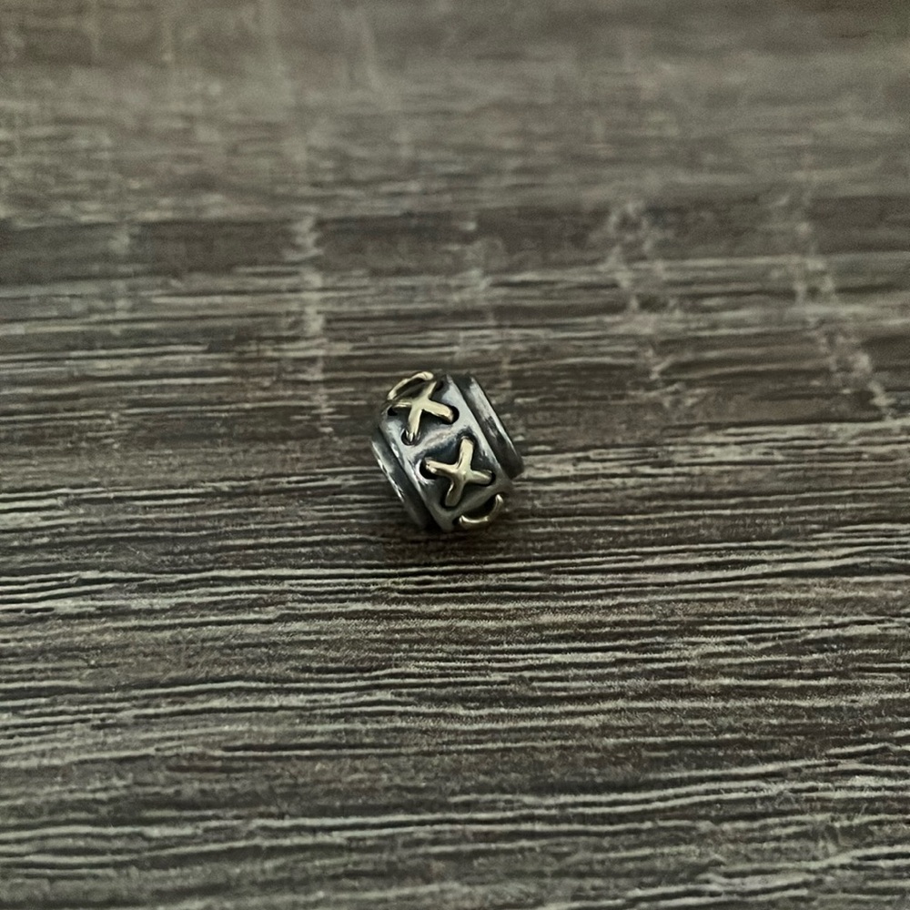 Pandora Silver and Gold Charm